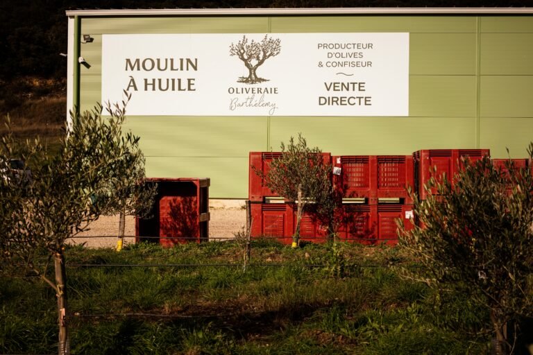 Oliveraie Barthélémy moulin ouvert depuis 2020