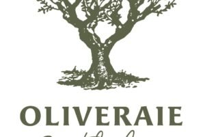 Bouteille d’huile d’olive Verdale 25cl, 50cl & 75cl de l’Oliveraie Barthélémy, huile douce et fruitée, idéale pour sublimer vos plats.